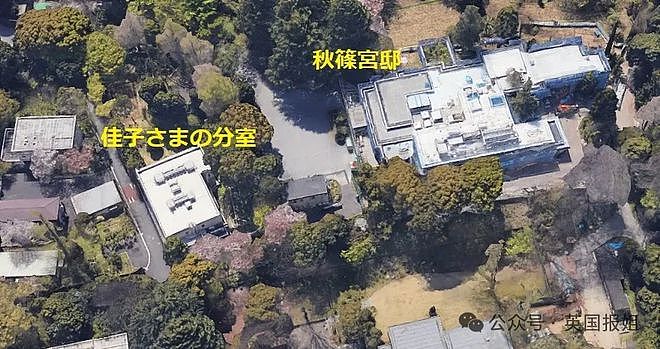 日本王室新瓜！远嫁美国真子公主被曝背后隐藏大金主破产，她和小室圭跟着遭殃穷得到处搬家？（组图） - 17