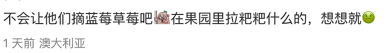 澳洲官宣全新签证！4万人排队等待入境，这次，许多华人不乐意了...（组图） - 7