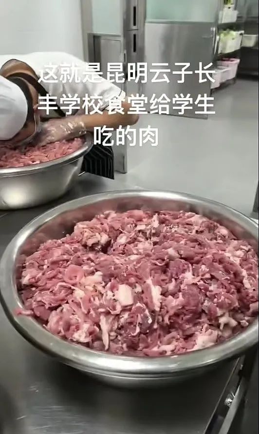 校园食品安全问题屡屡频发，机关食堂为啥就没有臭肉？（图） - 1