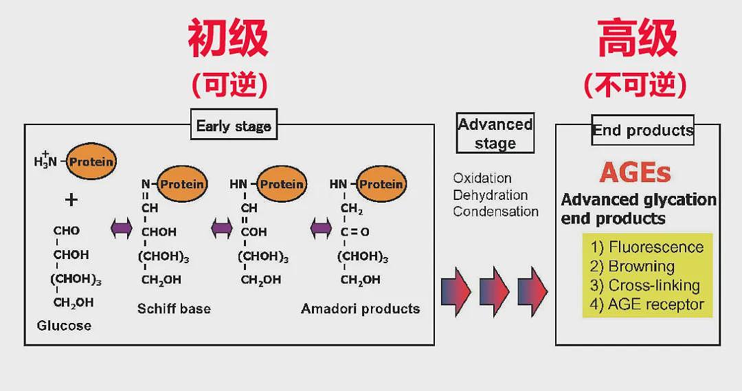 女人都逃不过的 “断崖式衰老”（组图） - 11