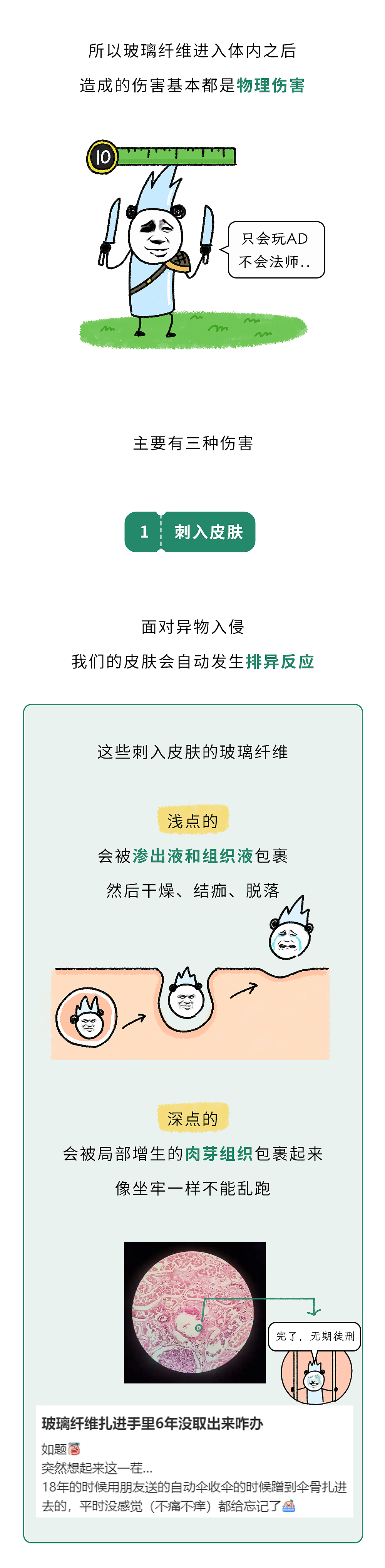 碰一下就又疼又痒浑身刺挠？这种“隐形杀手”可能就在你床上（组图） - 6