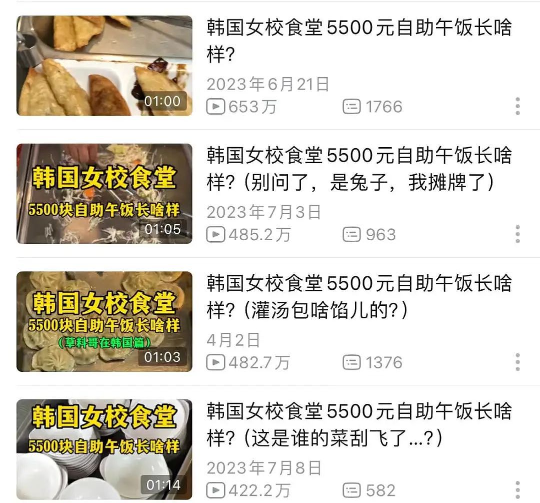 20万老外围观的中国食堂大锅饭，勾起了北美中产的反思文学（组图） - 34