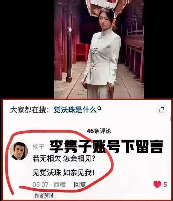 曝黄圣依老公杨子疑似出轨，小三真容曝光，还是环球华裔小姐（组图） - 7