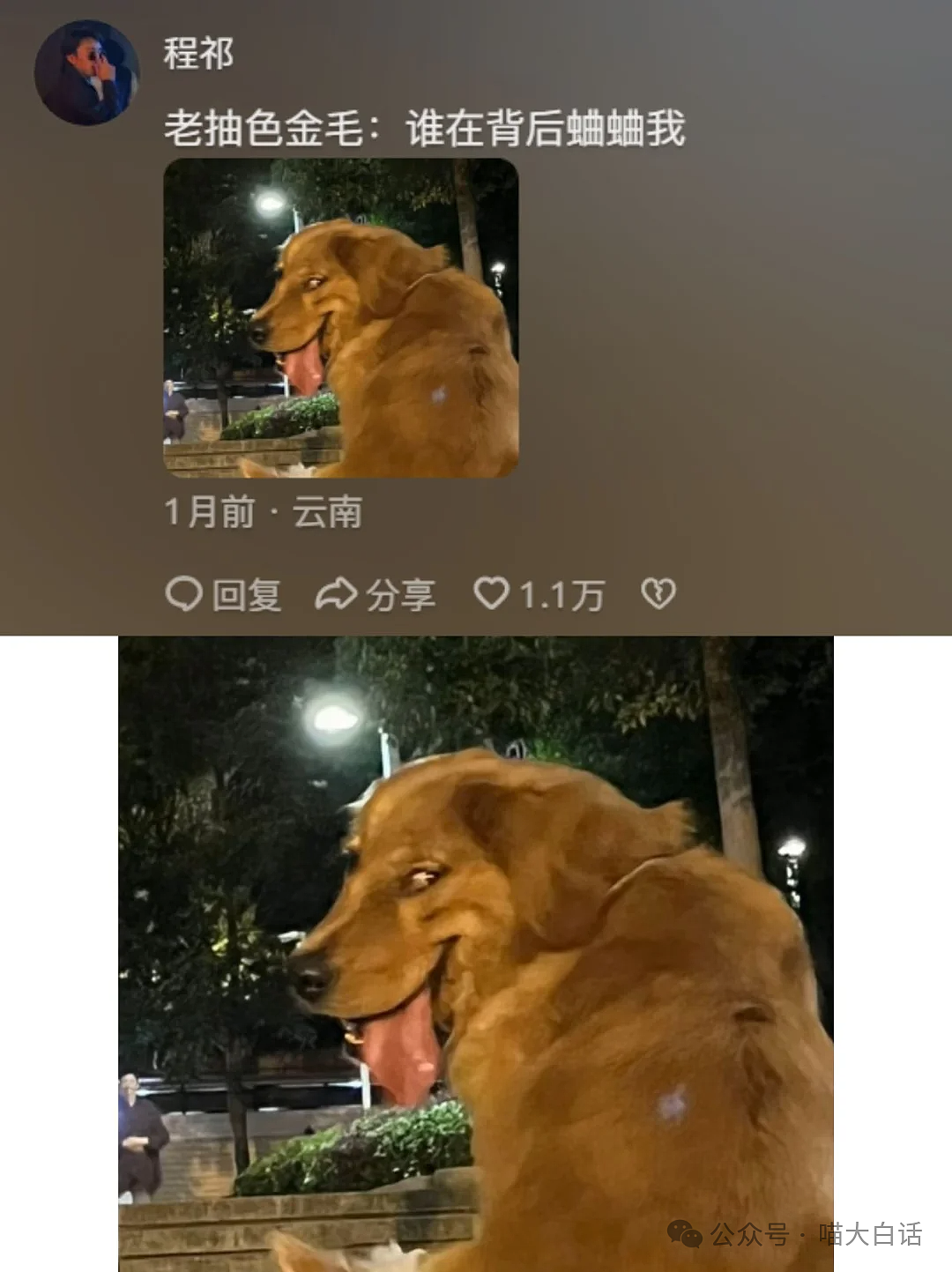 【爆笑】“在图书馆收到了陌生人送的奶茶？”哈哈哈哈这结局是意想不到的（组图） - 73