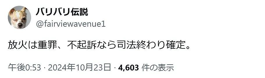 一晚放火7起，美国少年临回国前被抓！但日本人不信日本敢拿他怎样（组图） - 11