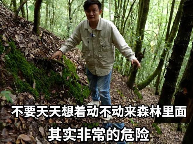 网红山取哀牢山摆拍风波升级！本人公开回怼官媒，还拿嫖娼调侃（组图） - 19