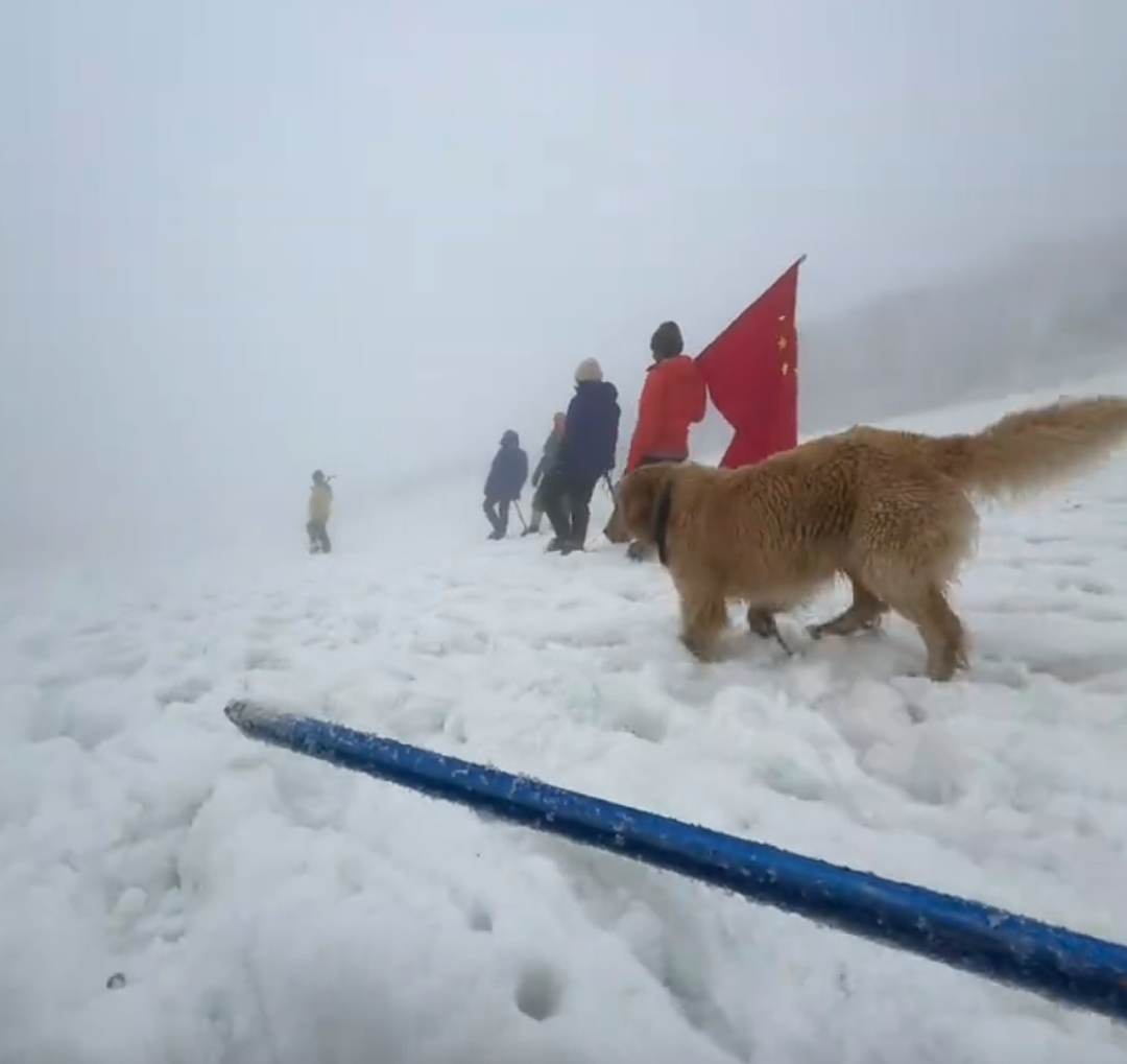 中产高级运动突然被年轻人挤爆，一个个像“流放宁古塔在雪地里爬”（组图） - 26