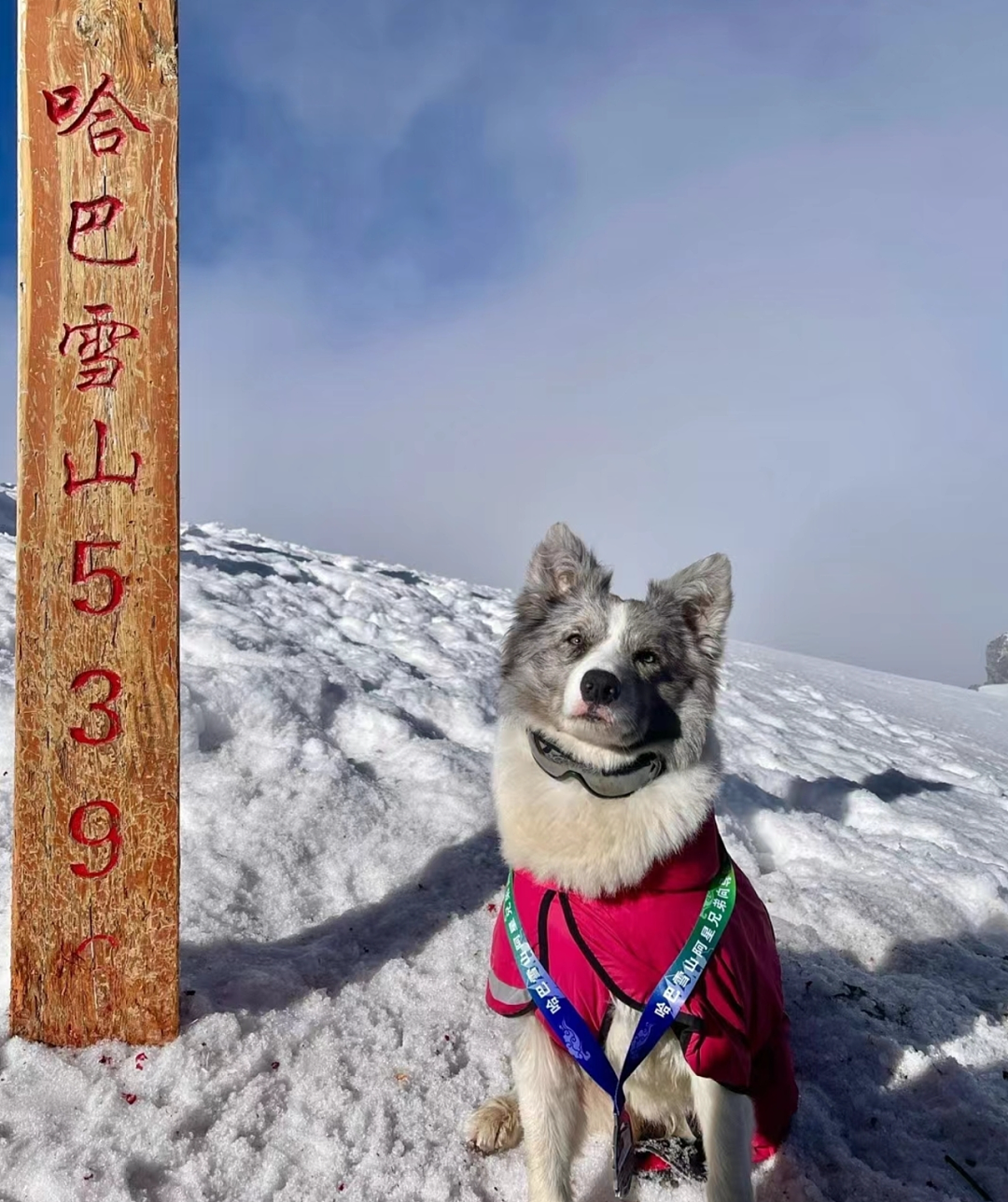 中产高级运动突然被年轻人挤爆，一个个像“流放宁古塔在雪地里爬”（组图） - 27