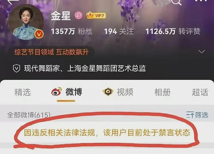 金星演出申请被拒！她曾发图暗示央视主持人支持乌克兰，随后被禁言（组图） - 6