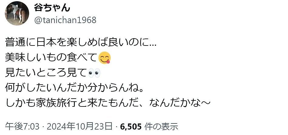 一晚放火7起，美国少年临回国前被抓！但日本人不信日本敢拿他怎样（组图） - 16