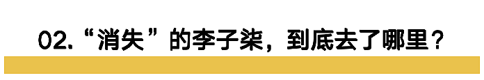 “消失”的李子柒，已成体制内顶流（组图） - 13