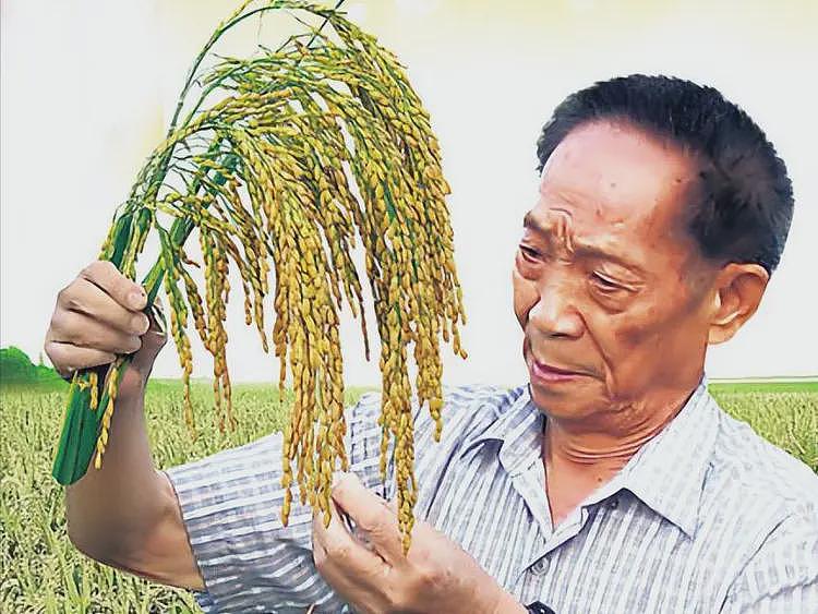 央视感动中国出炉，却惨遭网友集体不买账：十个人没一个感动我（组图） - 2