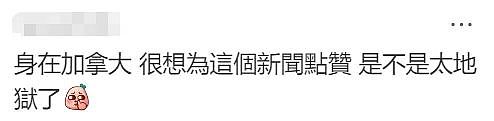 华人炸锅！澳洲为印度人送签证！4万人疯抢！澳洲要变印度利亚了（组图） - 35