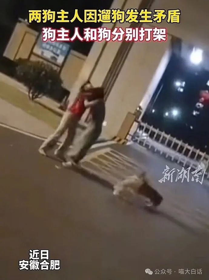 【爆笑】“直女上网遇到拉拉后……”哈哈哈哈哈终究是错付了（组图） - 38