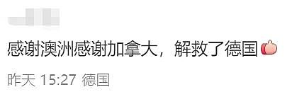 华人炸锅！澳洲为印度人送签证！4万人疯抢！澳洲要变印度利亚了（组图） - 49