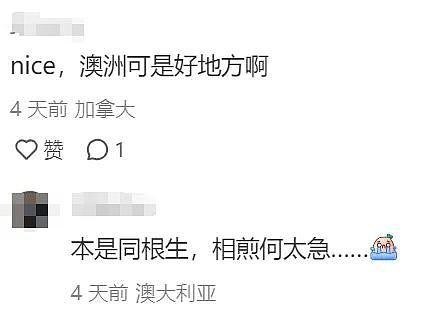 华人炸锅！澳洲为印度人送签证！4万人疯抢！澳洲要变印度利亚了（组图） - 45