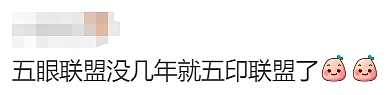 华人炸锅！澳洲为印度人送签证！4万人疯抢！澳洲要变印度利亚了（组图） - 50