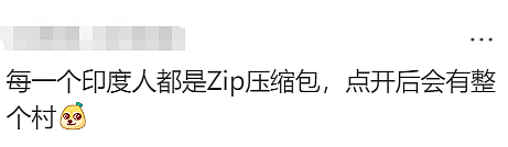 华人炸锅！澳洲为印度人送签证！4万人疯抢！澳洲要变印度利亚了（组图） - 6