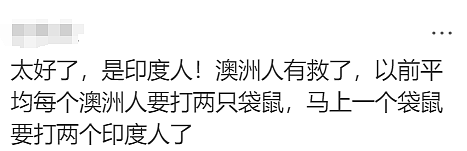 华人炸锅！澳洲为印度人送签证！4万人疯抢！澳洲要变印度利亚了（组图） - 11