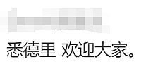 华人炸锅！澳洲为印度人送签证！4万人疯抢！澳洲要变印度利亚了（组图） - 12