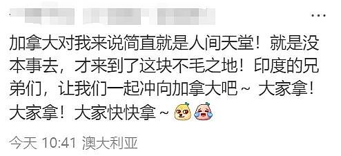 华人炸锅！澳洲为印度人送签证！4万人疯抢！澳洲要变印度利亚了（组图） - 43