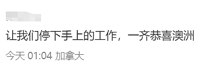 华人炸锅！澳洲为印度人送签证！4万人疯抢！澳洲要变印度利亚了（组图） - 26