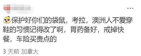 华人炸锅！澳洲为印度人送签证！4万人疯抢！澳洲要变印度利亚了（组图） - 42