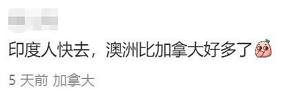 华人炸锅！澳洲为印度人送签证！4万人疯抢！澳洲要变印度利亚了（组图） - 44