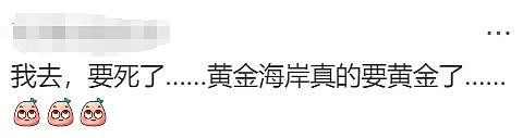 华人炸锅！澳洲为印度人送签证！4万人疯抢！澳洲要变印度利亚了（组图） - 23