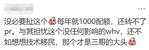 华人炸锅！澳洲为印度人送签证！4万人疯抢！澳洲要变印度利亚了（组图） - 16