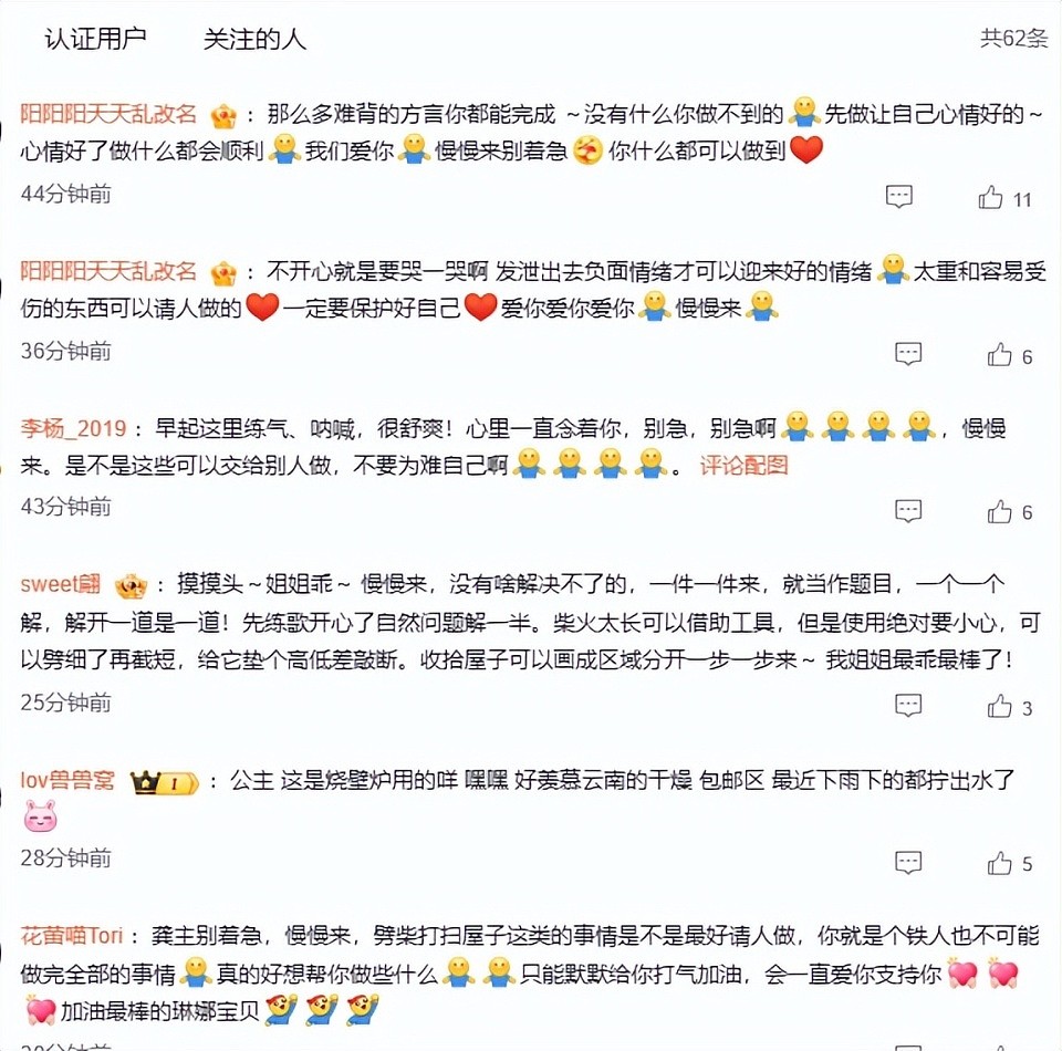 龚琳娜与德国老公离婚，她独自回家哭了，称家里太乱心里堵得慌（组图） - 3