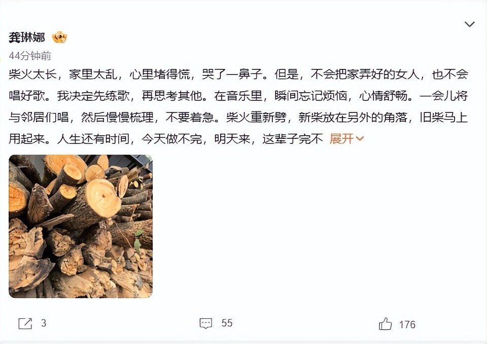 龚琳娜与德国老公离婚，她独自回家哭了，称家里太乱心里堵得慌（组图） - 2