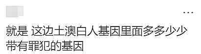 大家都是罪犯后代？澳人一觉醒来天塌了，网友：往上查三代都一样（组图） - 1