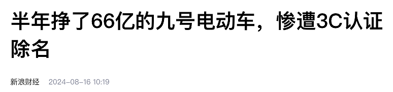 半年狂卖66亿！小米昔日干儿子，成为精神小伙新宠（组图） - 19