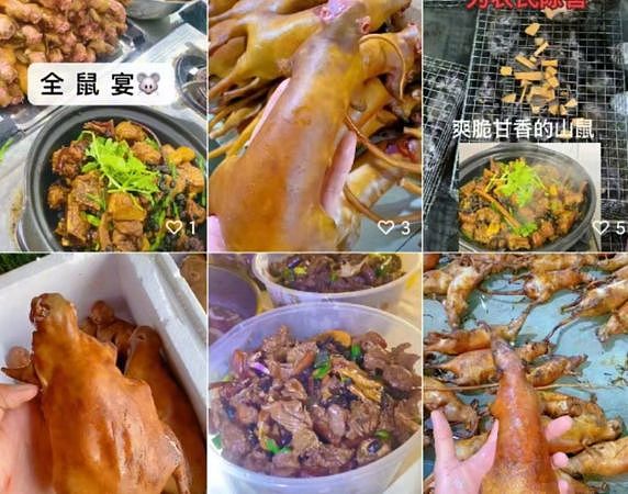 大陆抖音出现“直播炒老鼠肉”，还大量收活鼠，一斤70、80人民币（组图） - 1