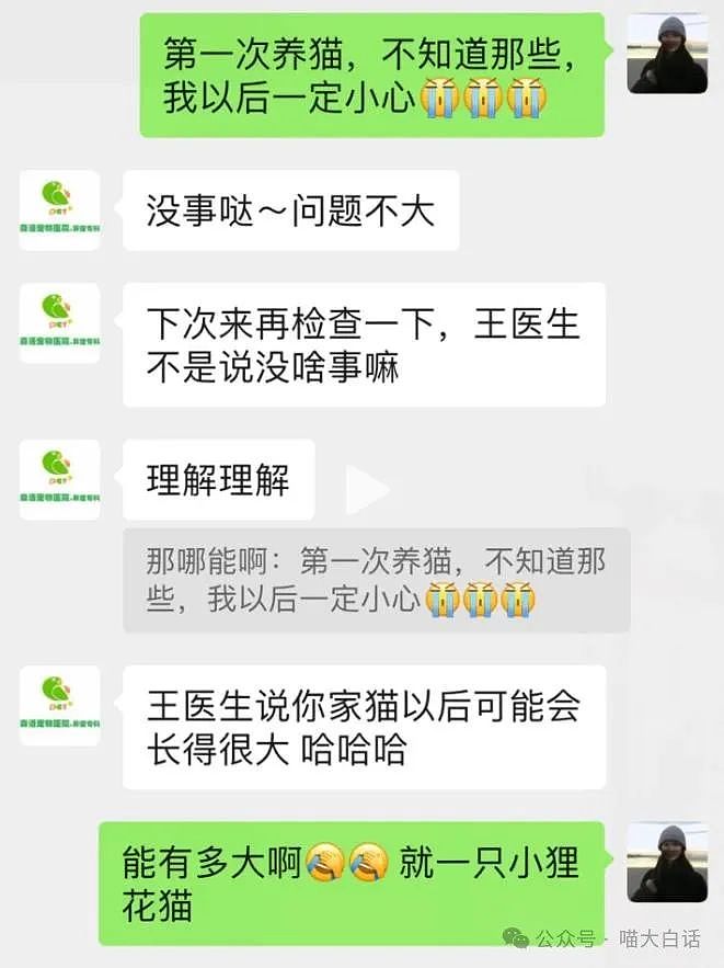 【爆笑】“打游戏被嘲菜后和对手网恋了？”哈哈哈哈哈人怎么能有种成这样（组图） - 43