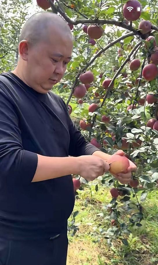 35岁网红王波喝酒去世，2天前刚送走云南阿奎，妻子崩溃哭晕过去（组图） - 17