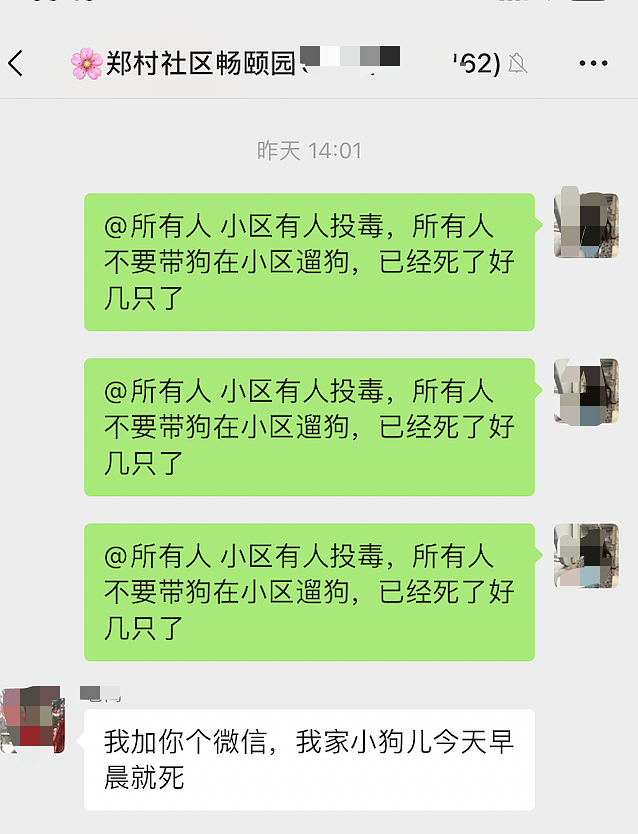 追凶776天：被毒死的小狗，自学刑法的女孩（组图） - 8