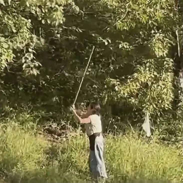 上海海归女精英要找陌生男搭子隐居山林，看完两人认识过程只想说真别装了（组图） - 11