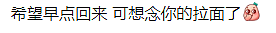 澳洲大学公布新规，六国禁止包括中国在内留学生！澳被抓华人为著名拉面店师傅，正被移民局拘留！（组图） - 18