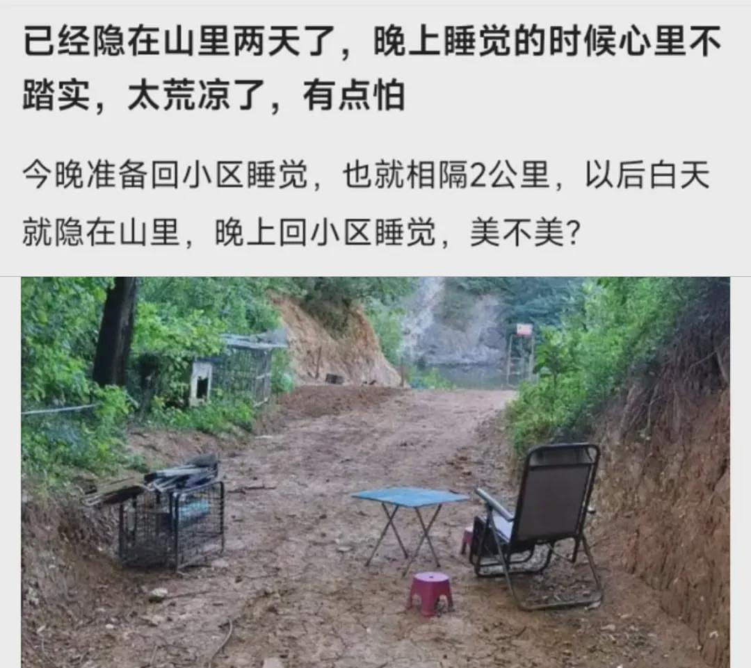 上海海归女精英要找陌生男搭子隐居山林，看完两人认识过程只想说真别装了（组图） - 26