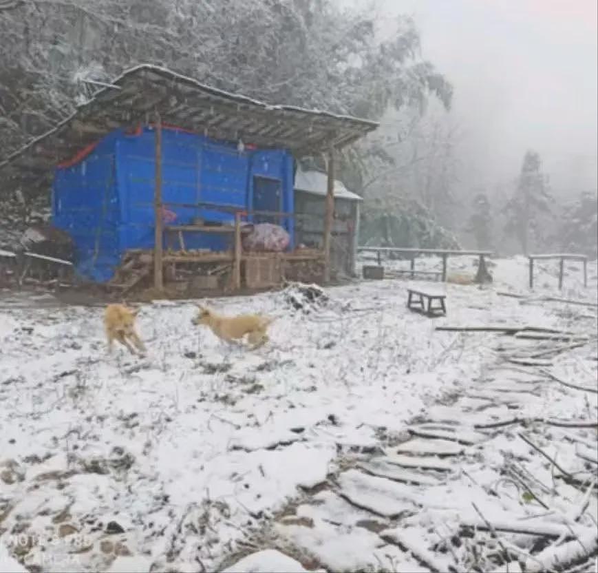 上海海归女精英要找陌生男搭子隐居山林，看完两人认识过程只想说真别装了（组图） - 5