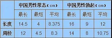 【两性】叮叮到底多长才算正常（组图） - 3