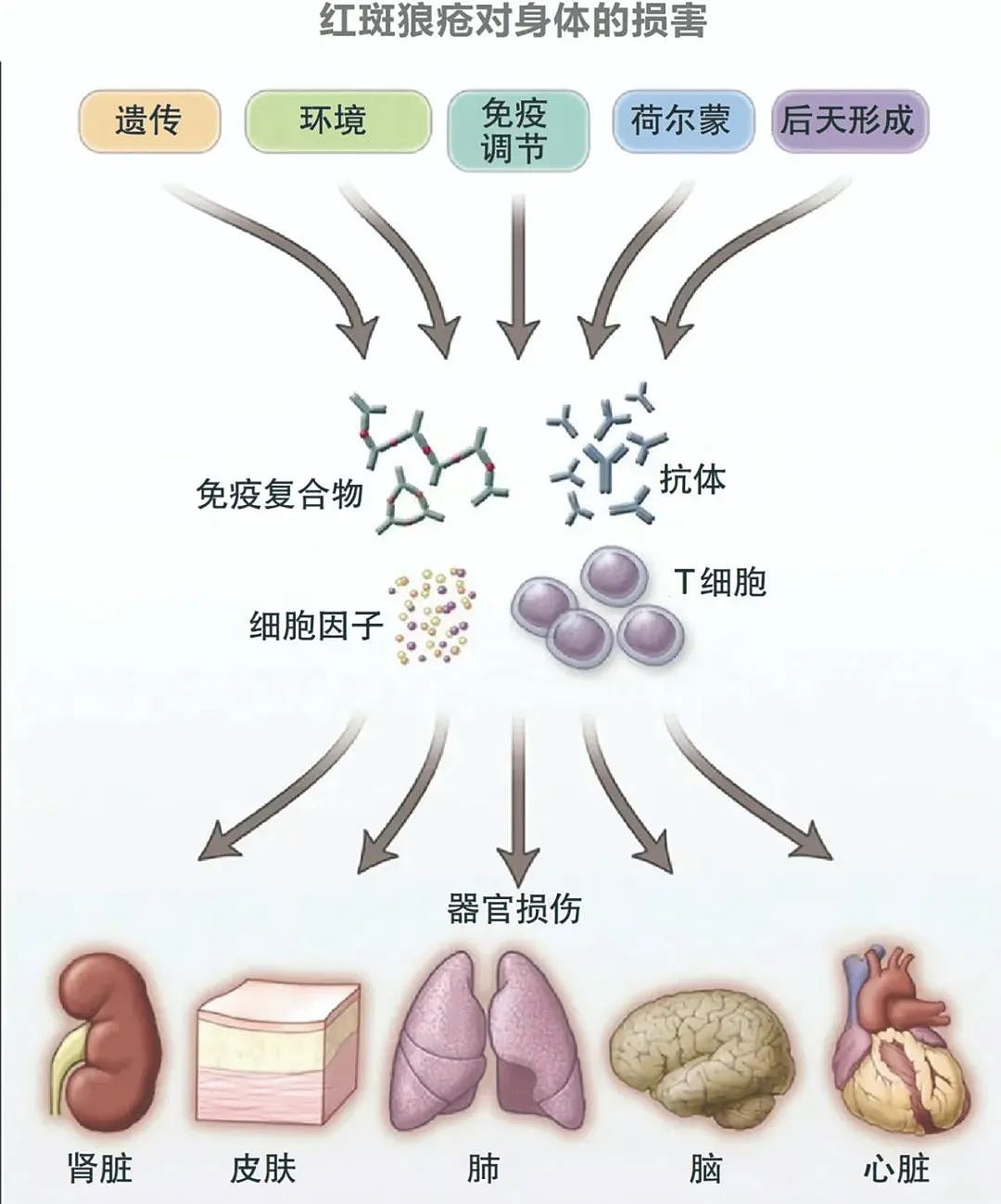 20多岁确诊以为“天塌了”，如今她想生二胎！红斑狼疮治疗迎来重大突破（组图） - 2