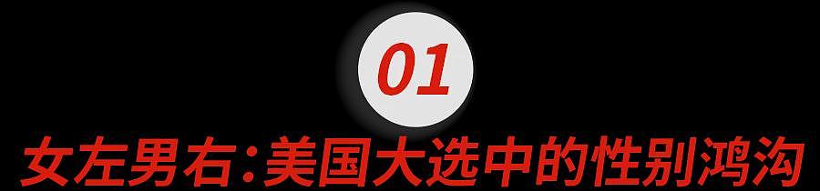 仇男vs厌女？美国大选背后，一场史无前例的性别大战正在愈演愈烈...（组图） - 4