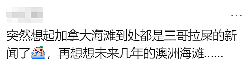 澳大利亚变印度利亚！澳洲为印度人送签证，4万人疯抢（组图） - 24