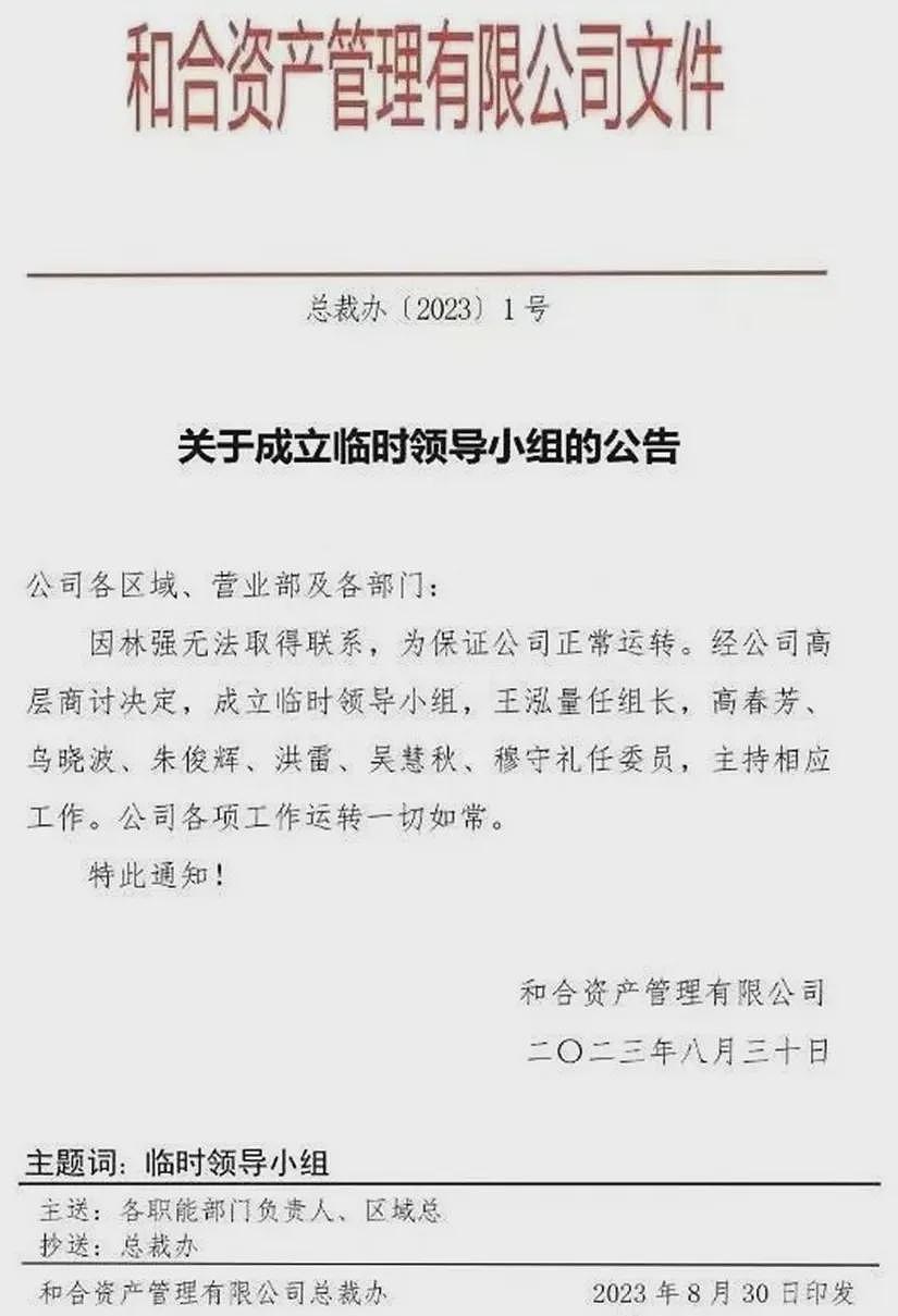 涉诈骗140亿美元！中国资本大佬境外被抓！爆筹划全家移民（组图） - 12