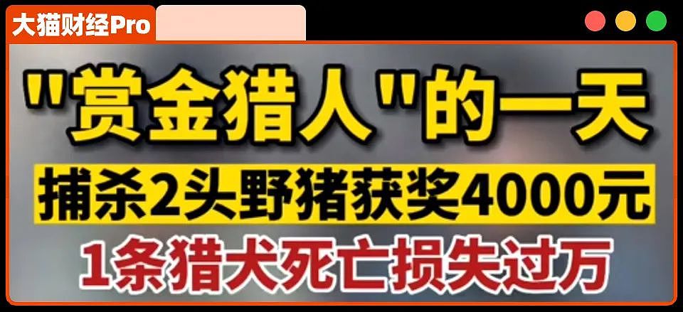 刻不容缓！南京、深圳、杭州全部“沦陷”……（组图） - 9