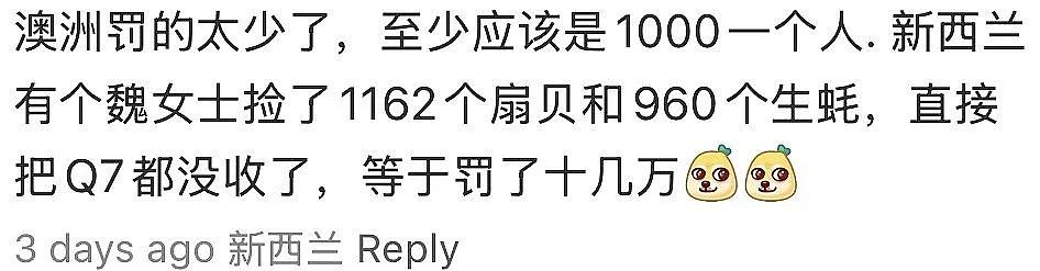 澳洲渔政蹲点执法，众多华人违规抓蟹被罚！网友大呼“丢脸”，渔友“恨铁不成钢”（组图） - 4