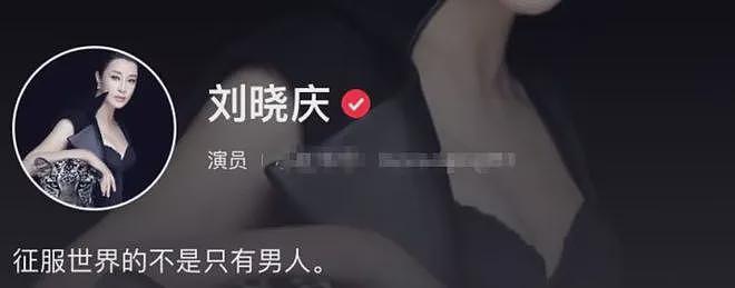 刘晓庆小20岁男友大瓜持续发酵！婚内出轨？聊天记录和语音通话被曝光，内容太炸裂...（组图） - 17